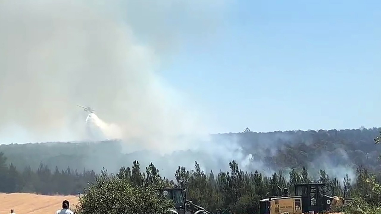 Tekirdağ'da orman yangını