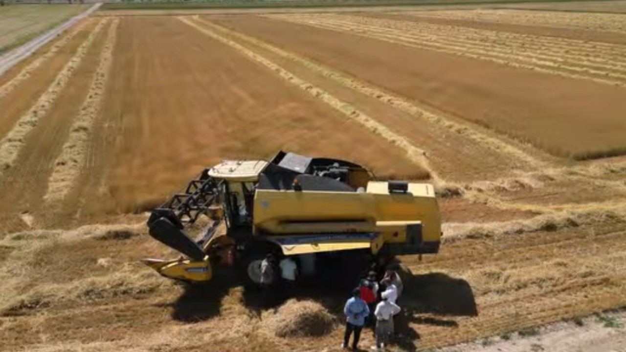 Çumra’da biçerdöver kontrolleri aralıksız devam ediyor