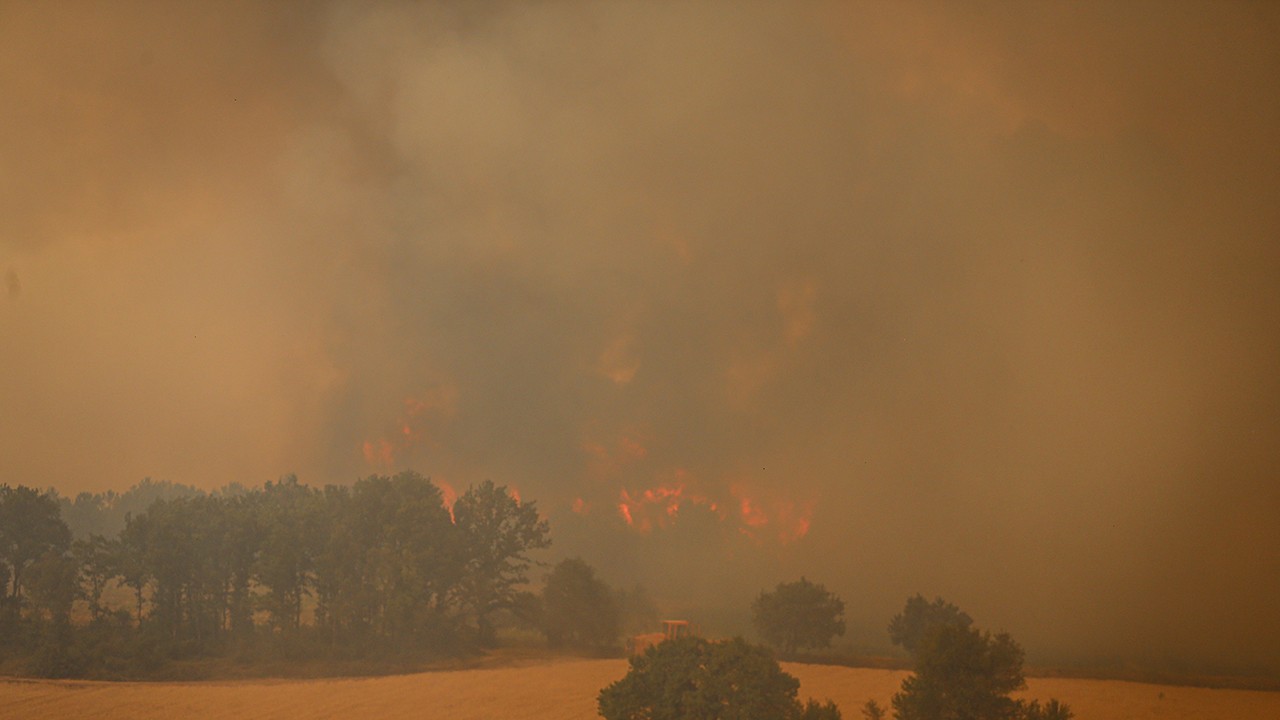 Orman yangınlarıyla mücadele sürüyor