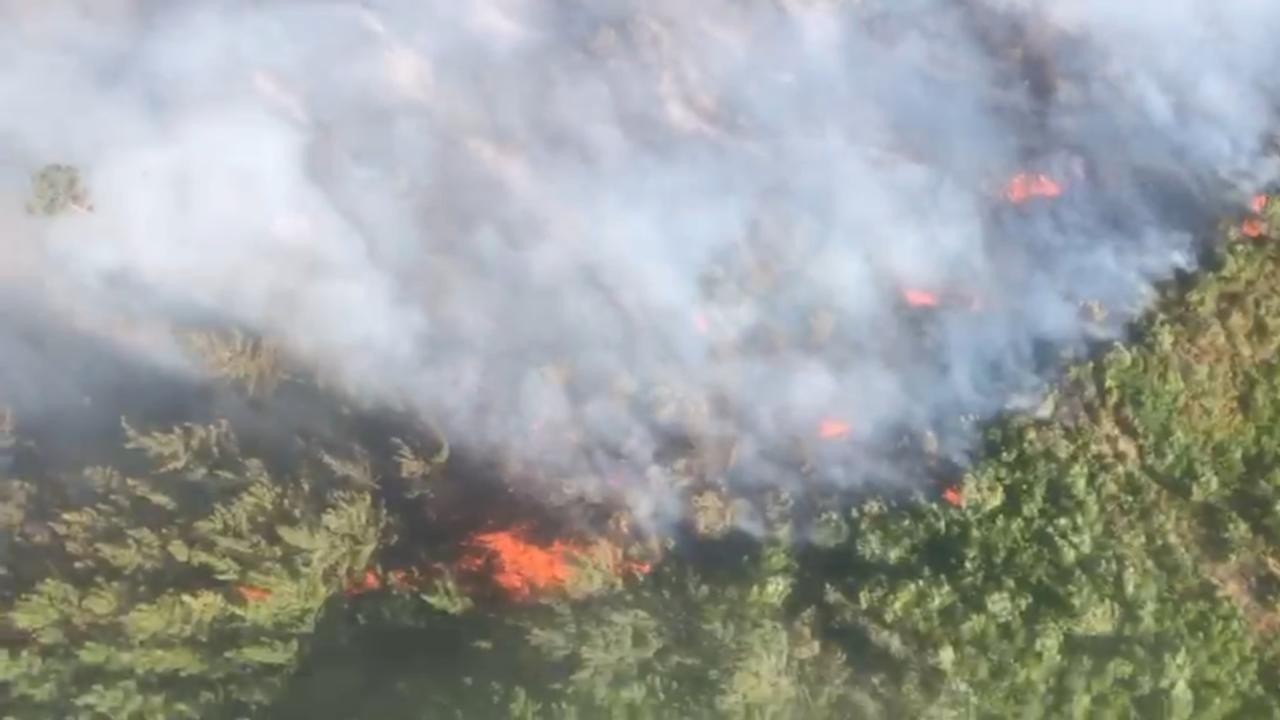 Bakan Yumaklı: İki günde 113 büyük ölçekli orman yangını meydana geldi