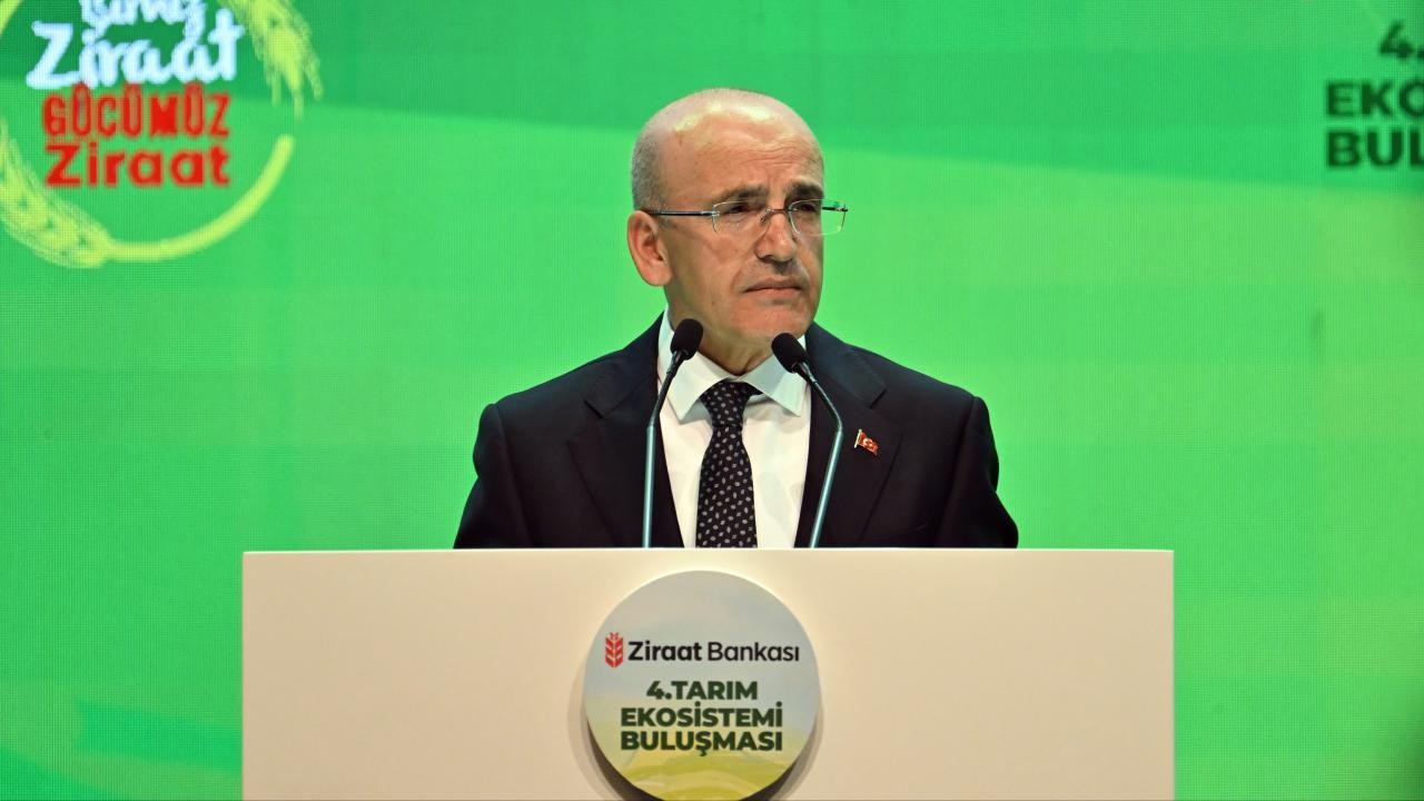 Bakan Şimşek: Evlerde kullanılan elektriğin yüzde 55'ini, doğal gazın yüzde 65'ini devlet sübvanse ediyor