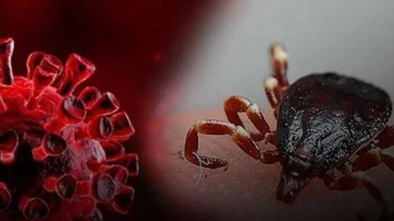 Kene kabusu can almaya devam ediyor: Bir ölüm daha