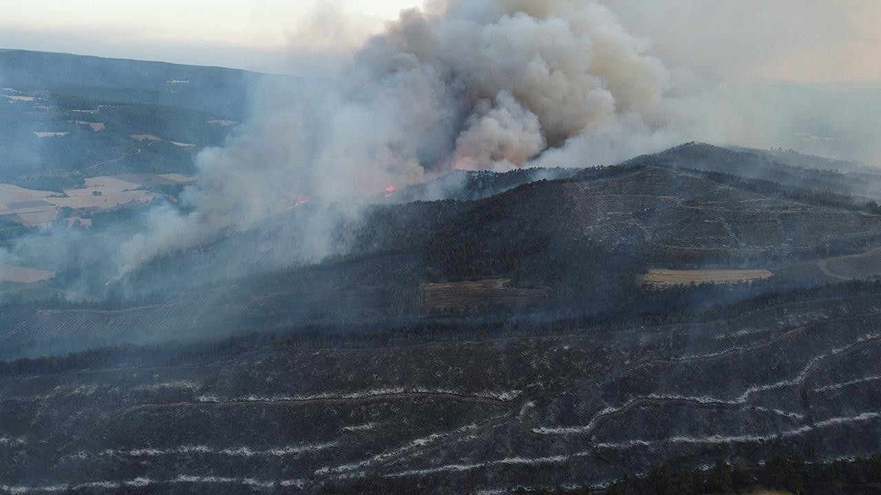 Bakan Yumaklı: Çıkan orman yangınlarının sorumlularıyla ilgili çok titiz çalışma yapılıyor