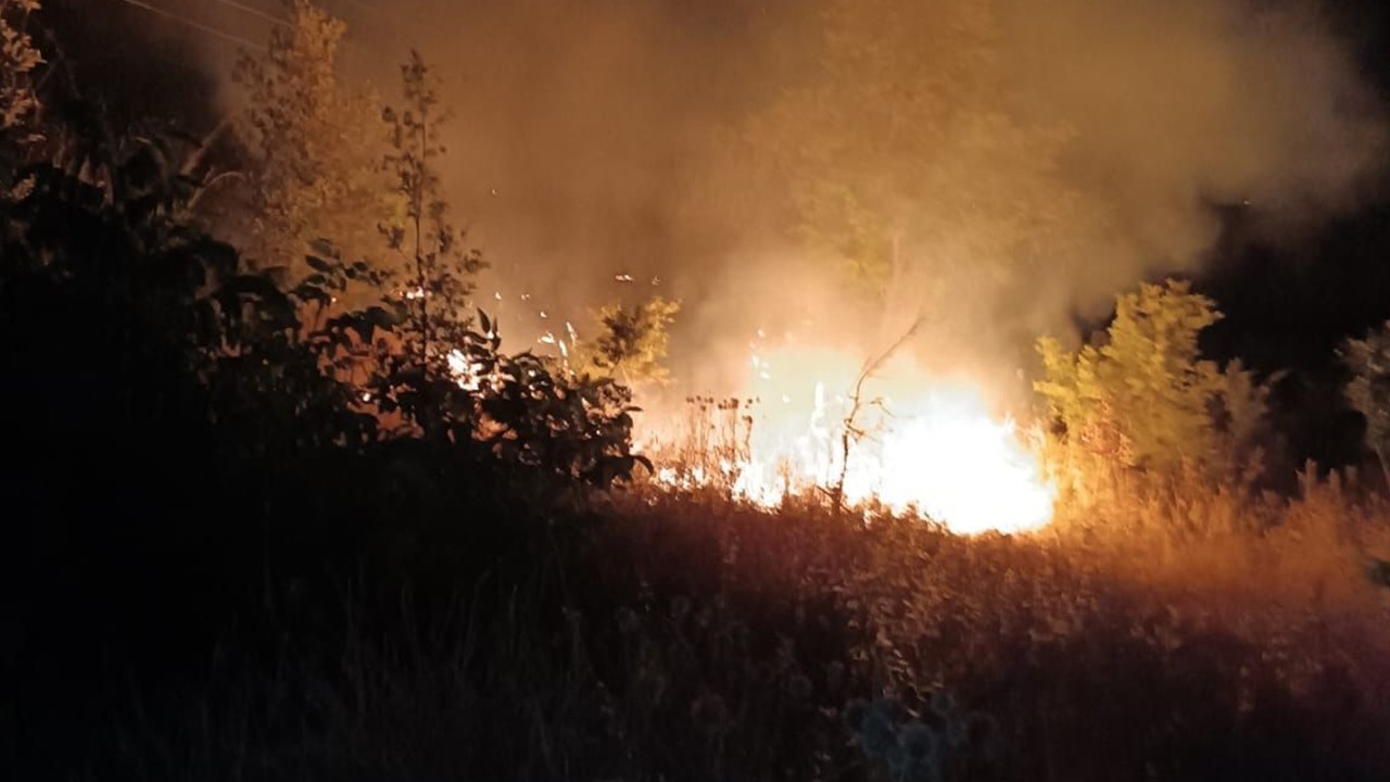 Mersin'de orman yangını