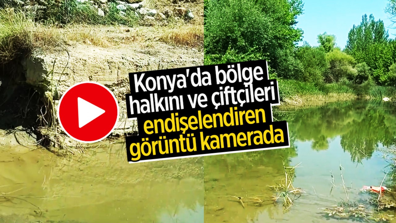 Konya'da bölge halkını ve çiftçileri endişelendiren görüntü kamerada!