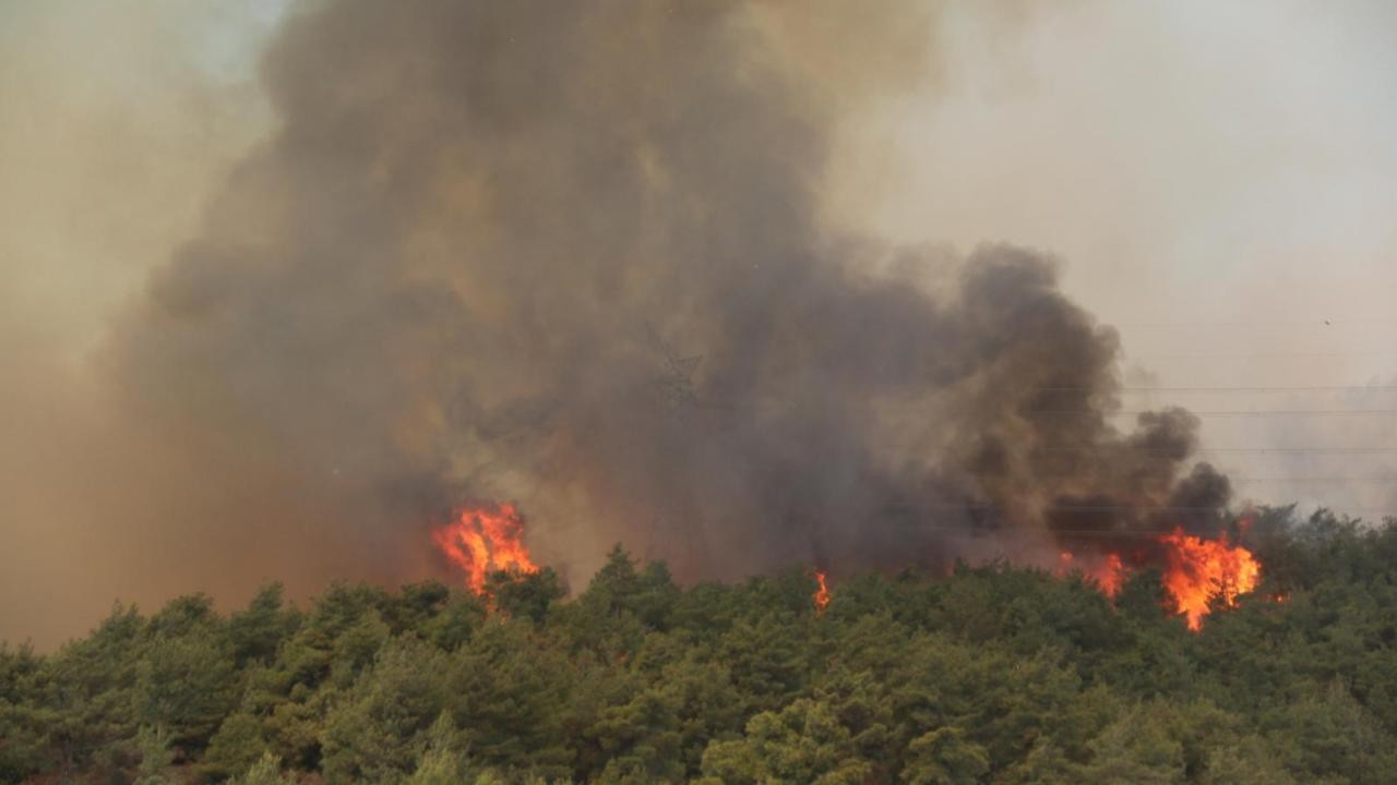 Türkiye'de 5 günde 342 yangın çıktı
