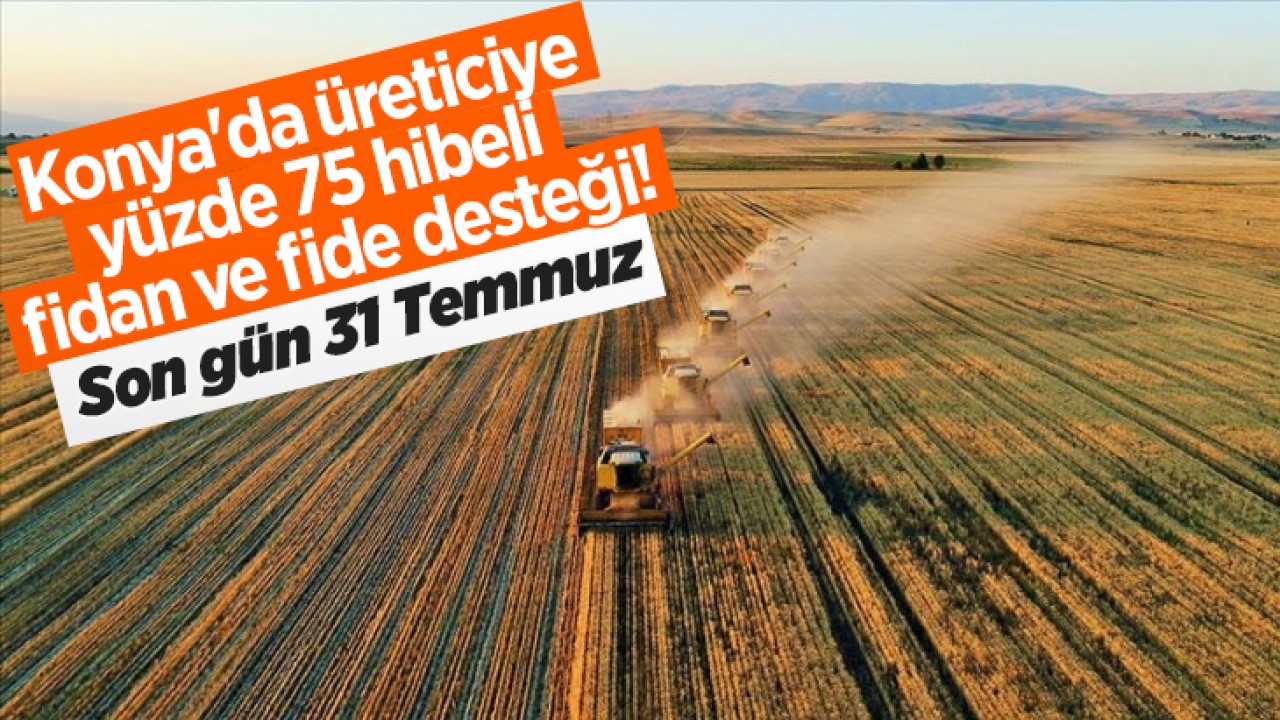 Konya'da üreticiye yüzde 75 hibeli fidan ve fide desteği! Son gün 31 Temmuz