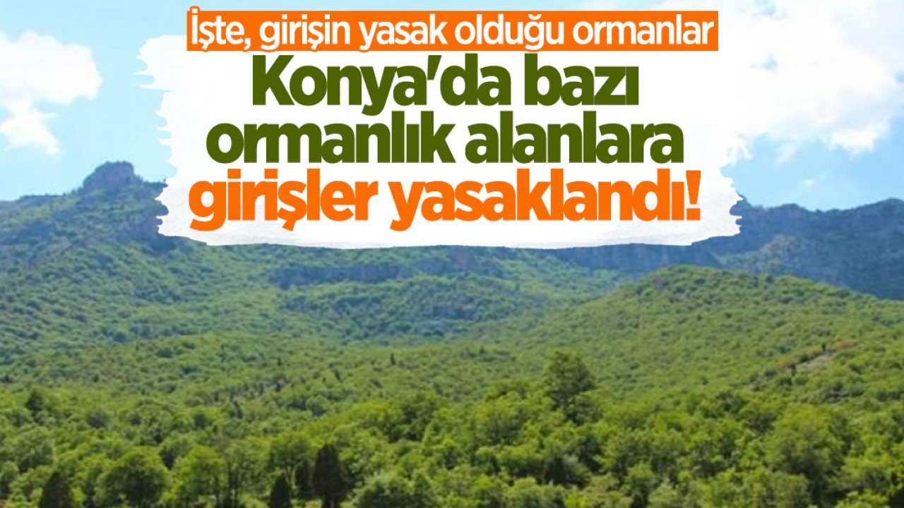 Konya'da bazı ormanlık alanlara girişler yasaklandı! İşte, girişin yasak olduğu ormanlar