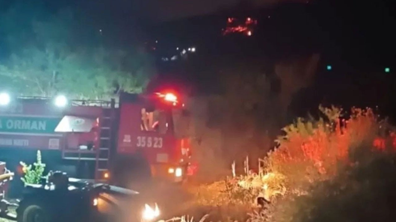 Keneyi yakmak isterken ormanı yaktı