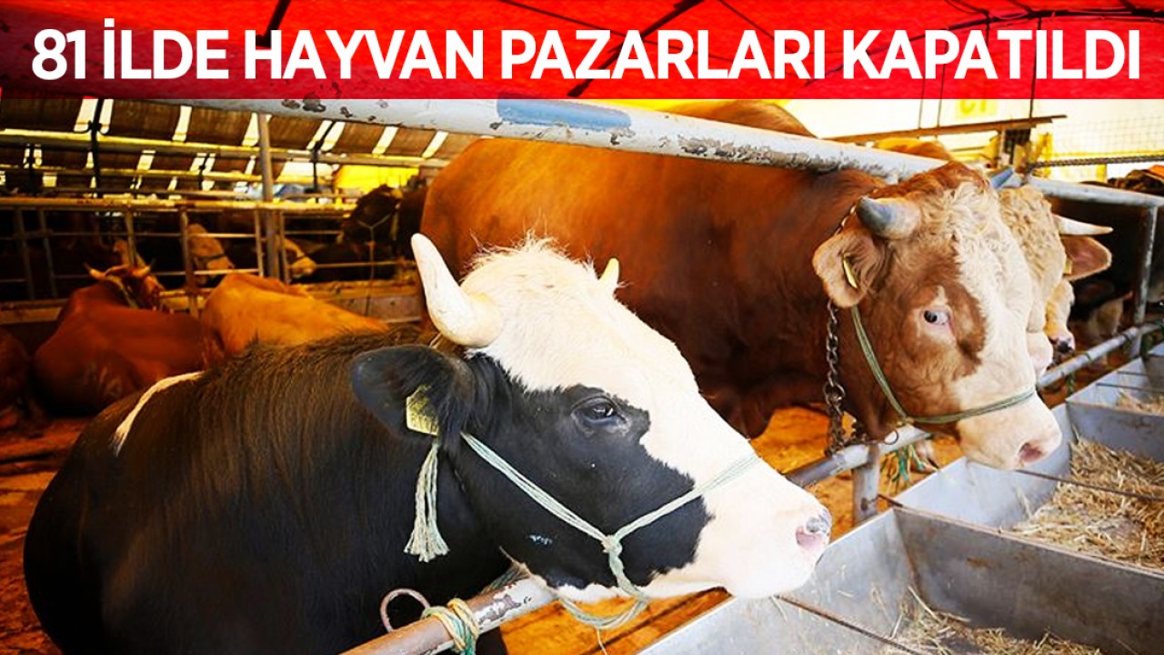 81 ilde hayvan pazarları kapatıldı