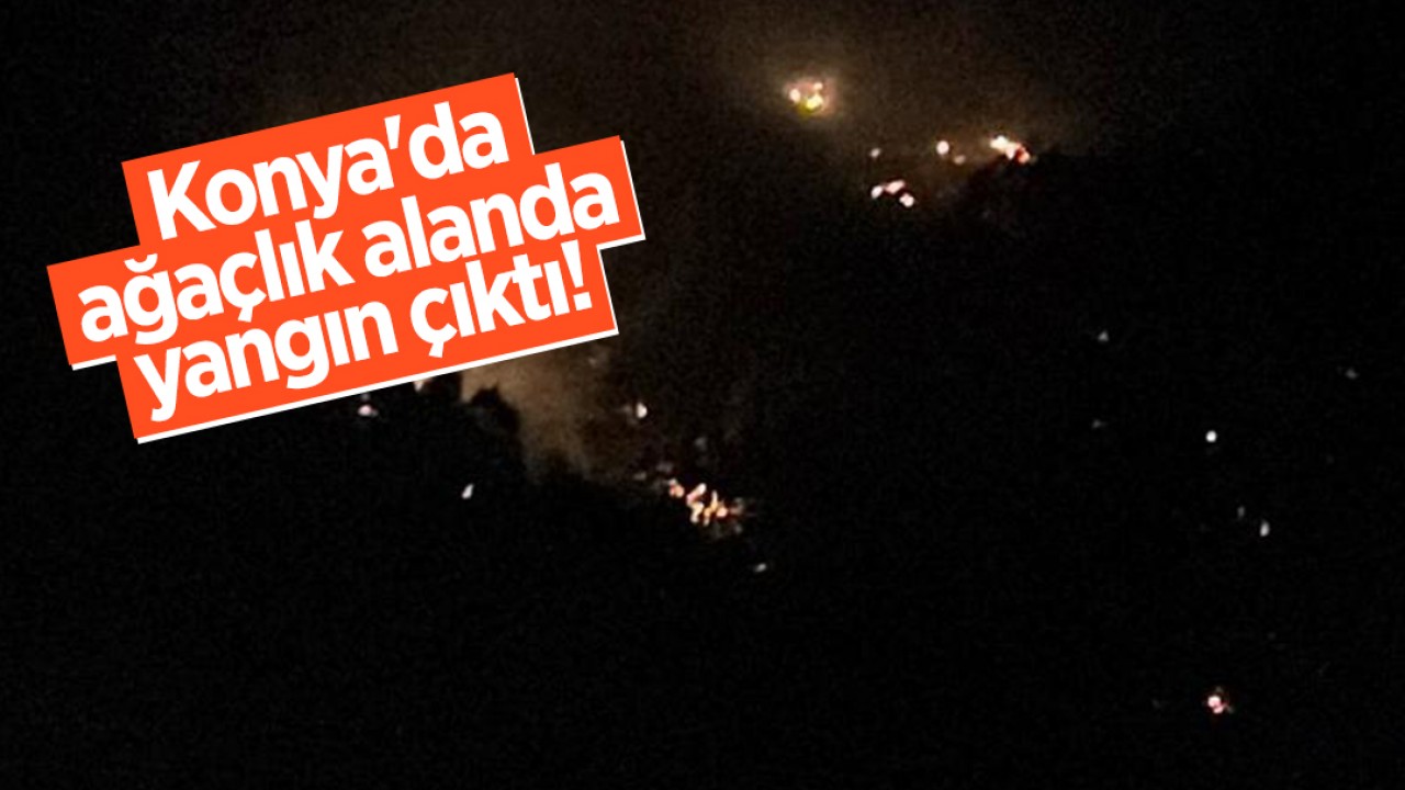 Konya'da ağaçlık alanda yangın çıktı!
