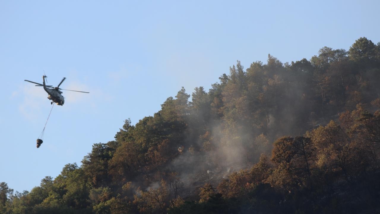 Kocaeli'de orman yangını