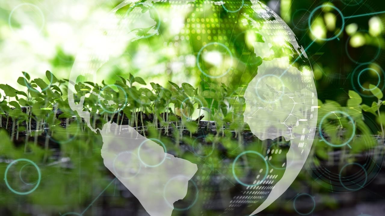 10 soruda Türkiye'nin ilk İklim Kanunu'nun merak edilenleri