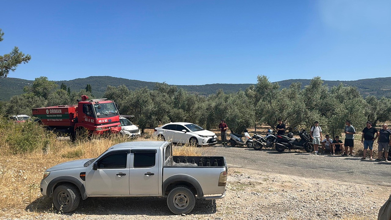 Muğla'da orman yangını