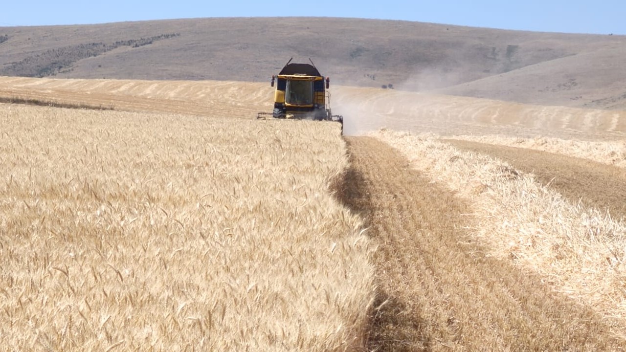 Çeltik'te biçerdöver denetimleri tüm hızıyla sürüyor