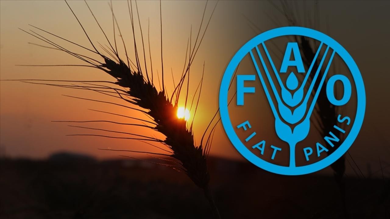 Türkiye, FAO konsey üyeliğine seçildi