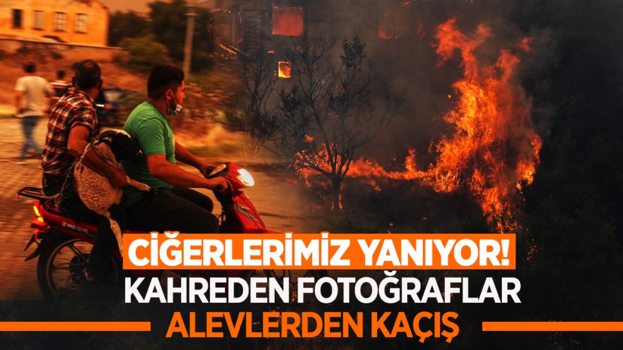 Ciğerlerimiz yanıyor! Kahreden fotoğraflar: Alevlerden kaçış