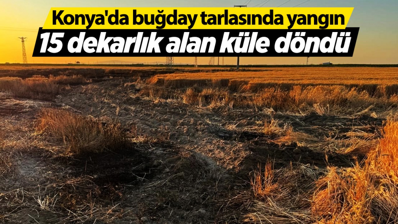 Konya'da buğday tarlasında yangın: 15 dekarlık alan küle döndü