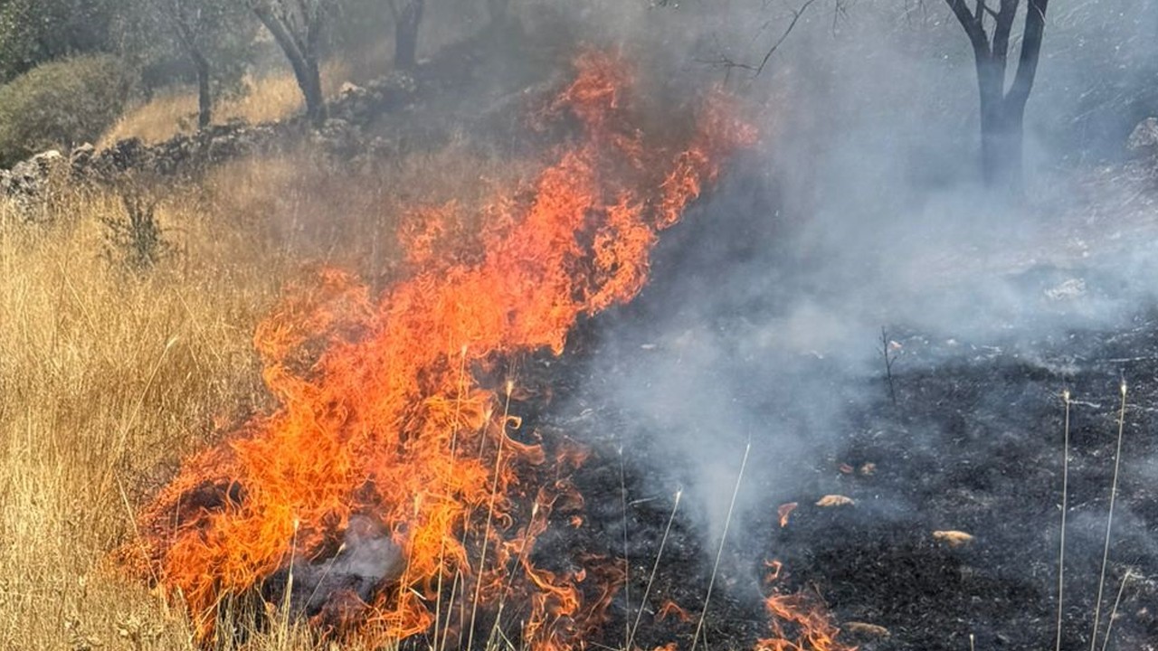 Örtü yangını 3 saatte kontrol altına alındı