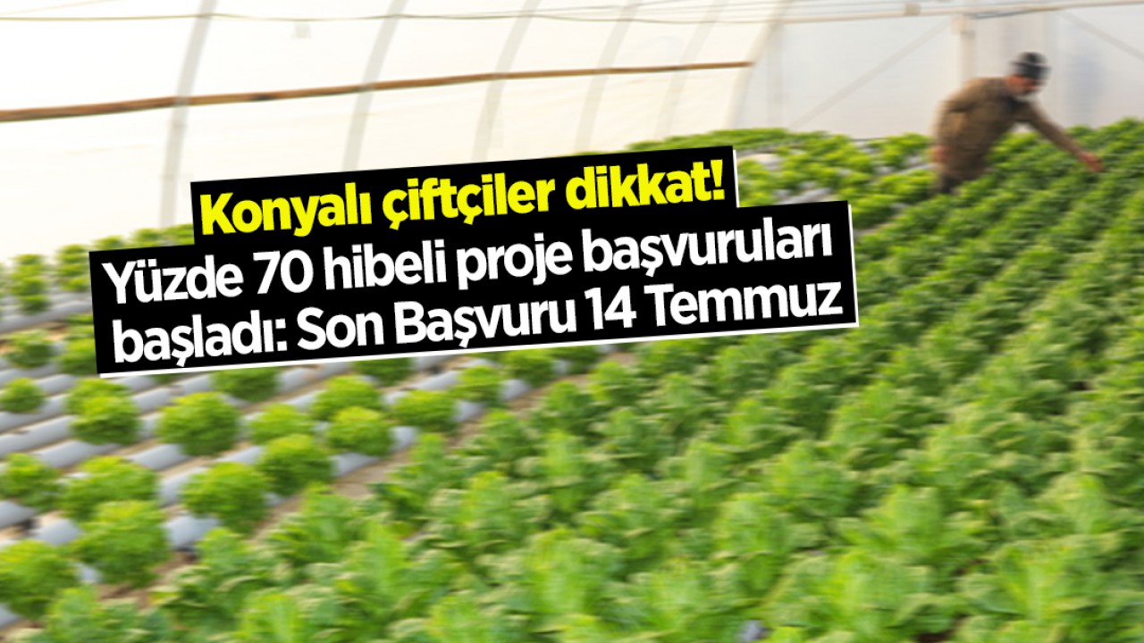 Konyalı çiftçiler dikkat! Yüzde 70 hibeli proje başvuruları başladı: Son Başvuru 14 Temmuz