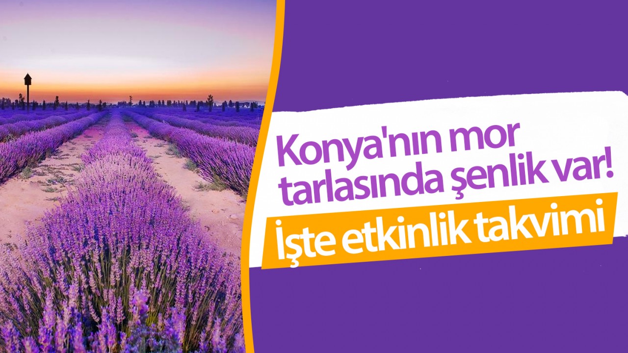 Konya'nın mor tarlasında ücretsiz şenlik var! İşte etkinlik takvimi