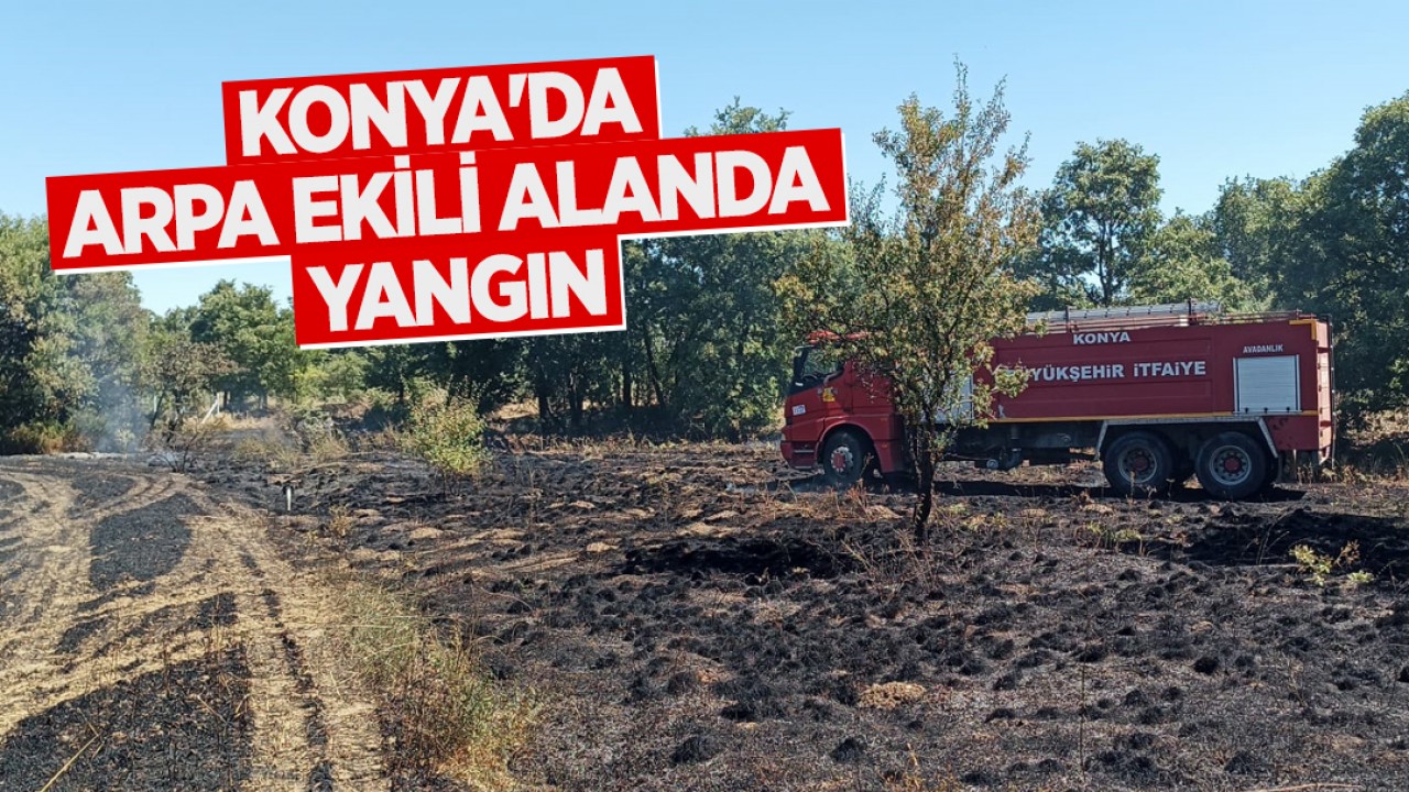 Konya'da arpa ekili alanda yangın