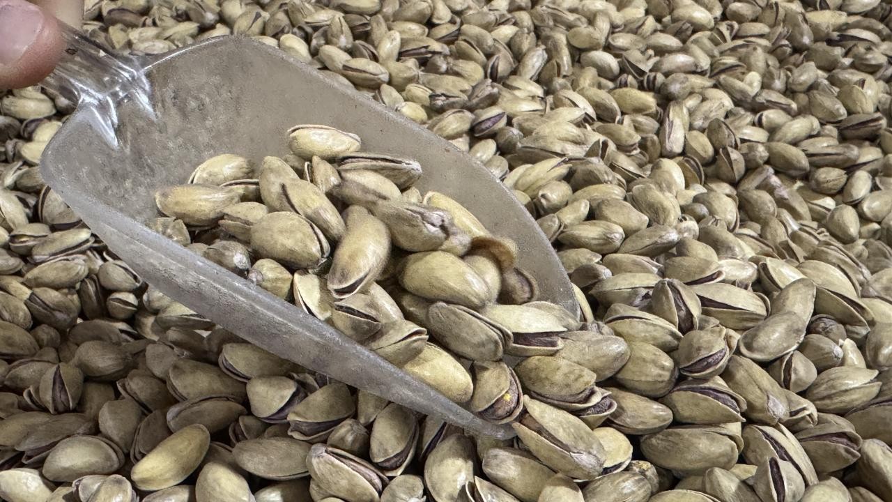 Antep fıstığı ihracatı yılın ilk yarısında yüzde 17 arttı