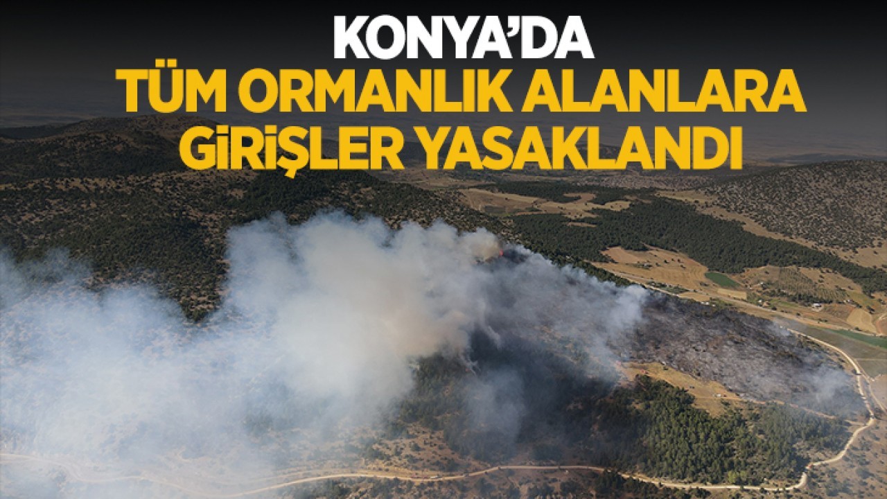 Konya’da tüm ormanlık alanlara girişler yasaklandı!