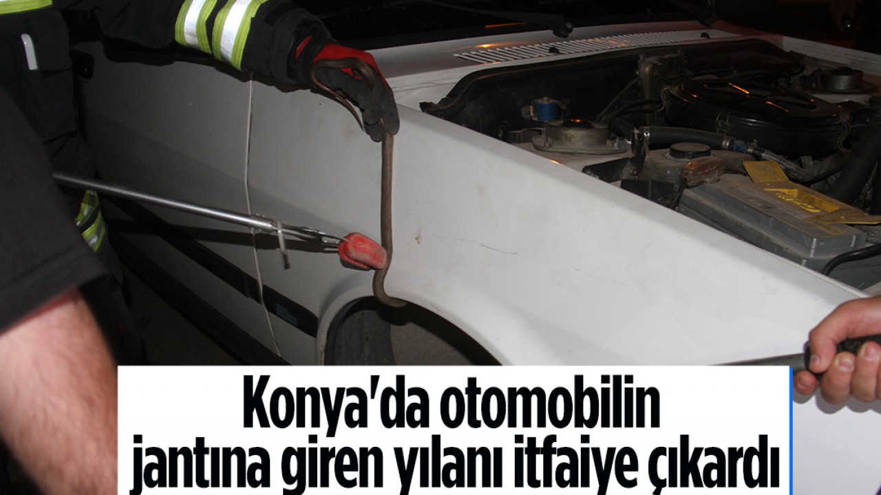 Konya'da otomobilin jantına giren yılanı itfaiye çıkardı