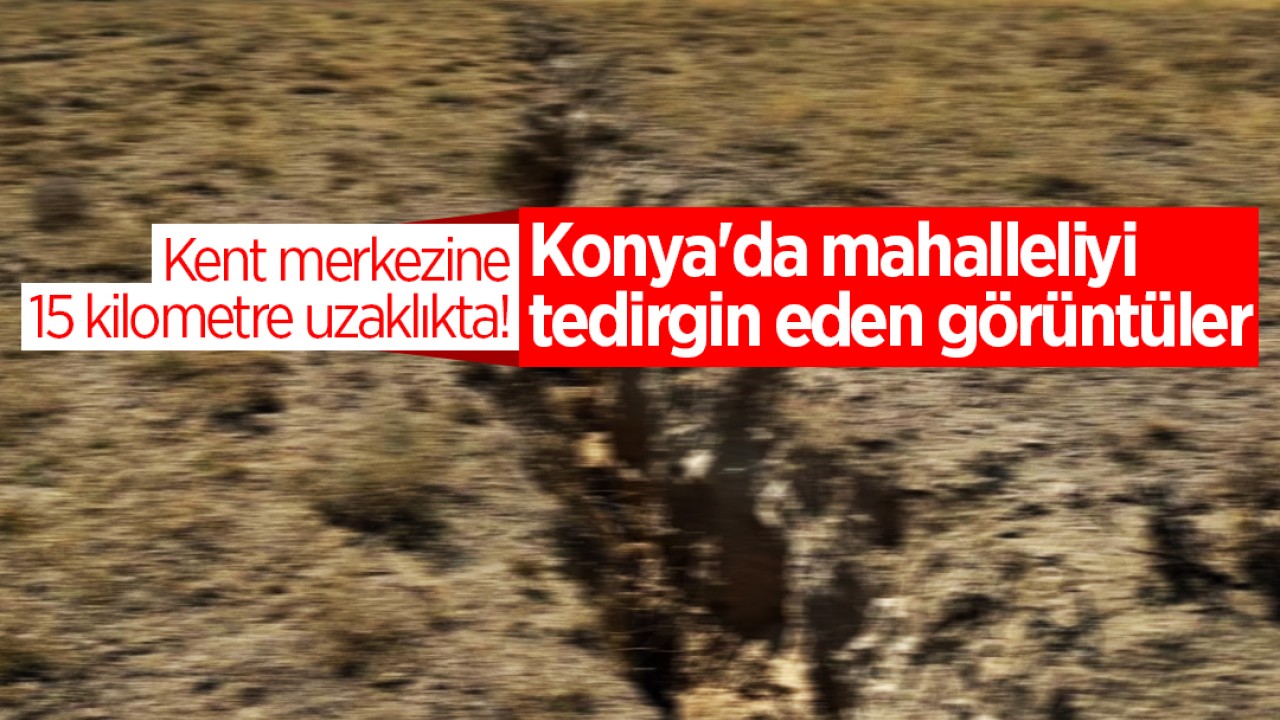 Kent merkezine 15 kilometre uzaklıkta! Konya’da mahalleliyi tedirgin eden görüntüler