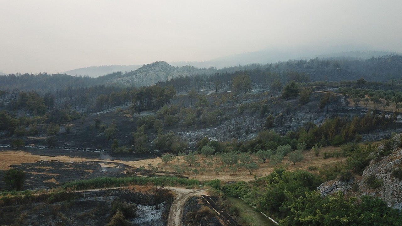 Sakarya'da orman yangını 2'nci gününde