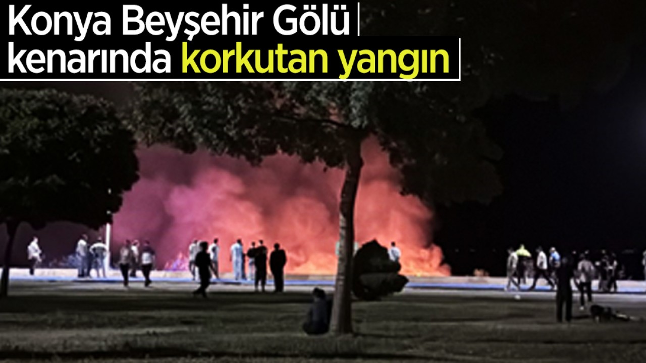 Konya Beyşehir Gölü kenarında korkutan yangın