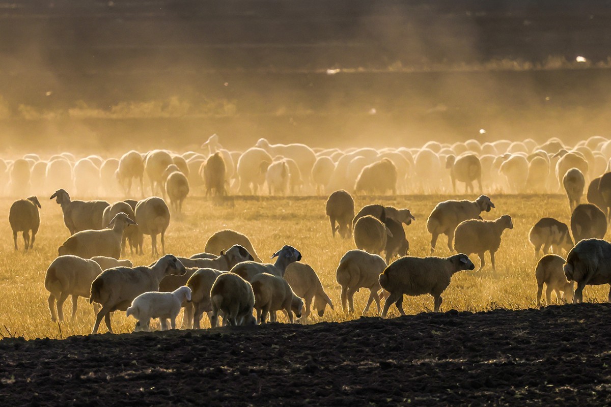 Pembe, kırmızı ve beyazın buluştuğu yer: Tuz Gölü