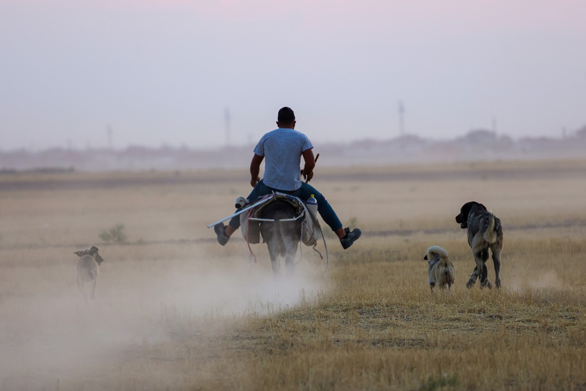 Pembe, kırmızı ve beyazın buluştuğu yer: Tuz Gölü