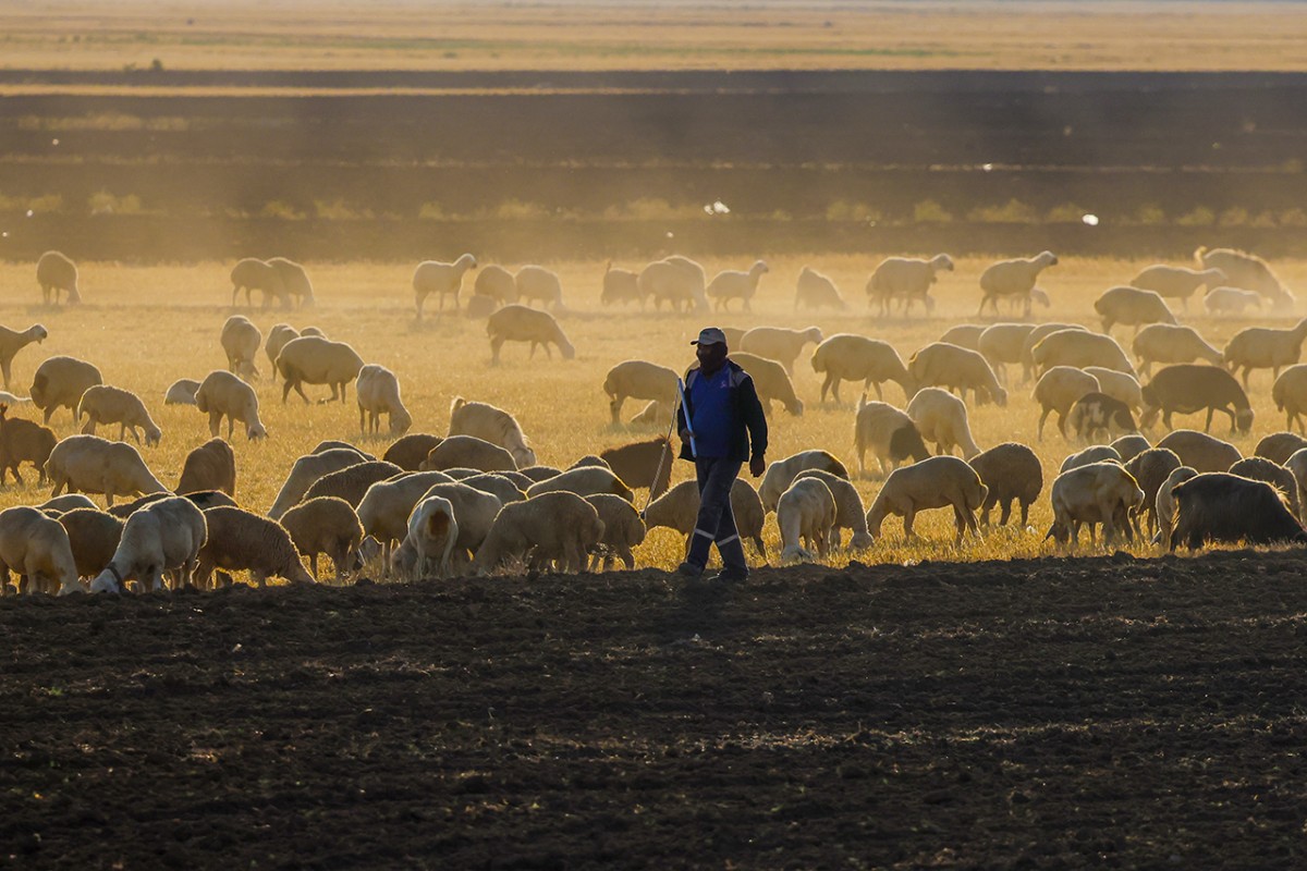 Pembe, kırmızı ve beyazın buluştuğu yer: Tuz Gölü