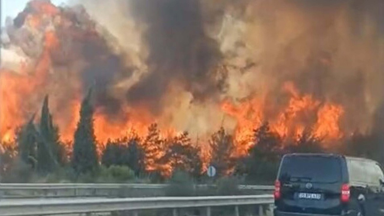 İzmir’de orman yangını