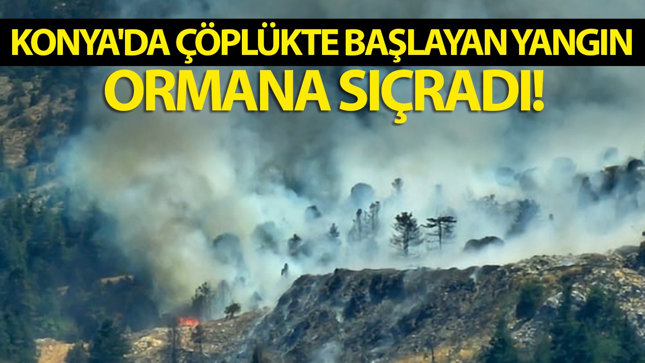 Konya'da çöplükte başlayan yangın ormana sıçradı!