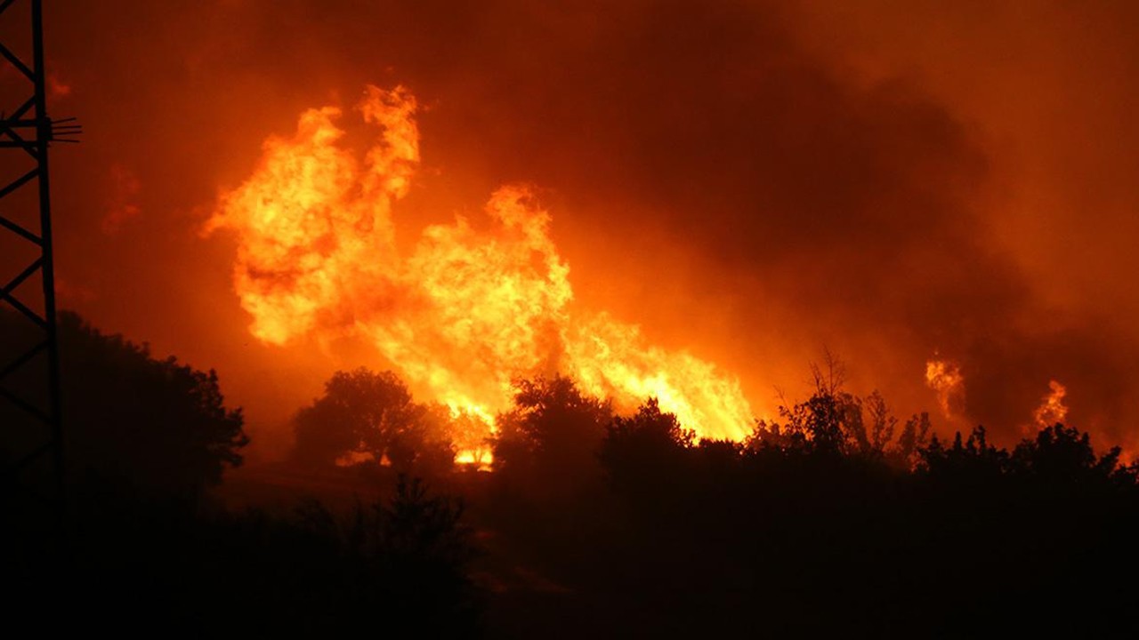 Orman yangınını akli dengesi yerinde olmayan 2 kişinin çıkardığı belirlendi