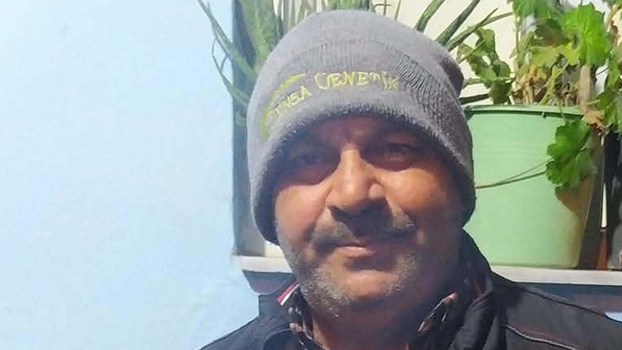 Domuz sürüsüne çarpan motosikletin sürücüsü öldü