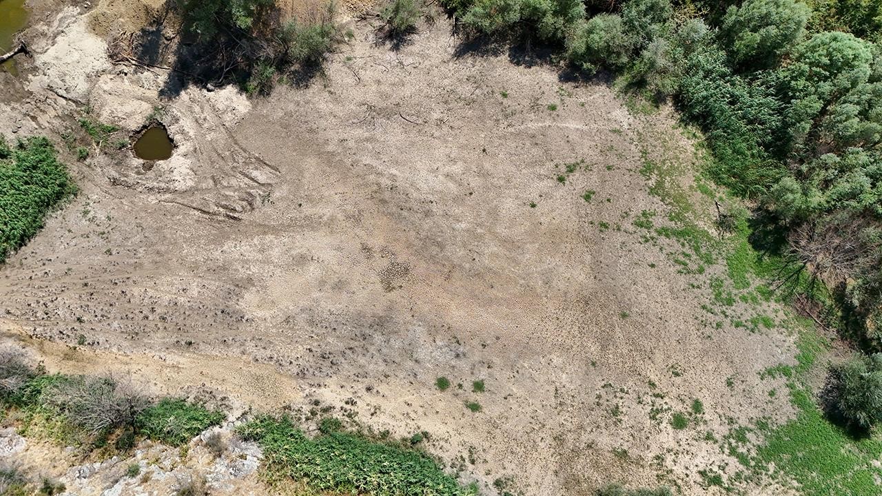 Aşırı sıcaklardan dere kurudu! Su çekildi, çatlaklar oluştu