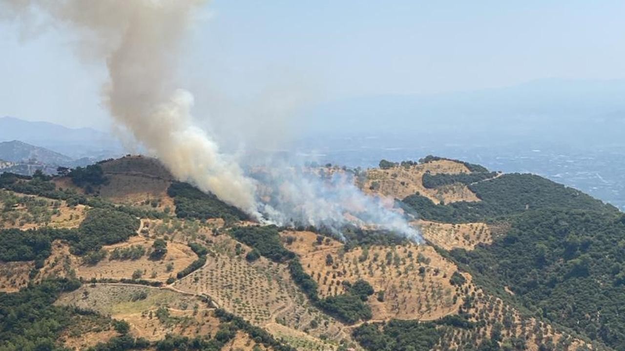 Kayınpederine kızan gelin tarım arazisini yaktı