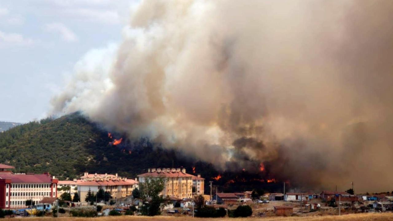 Edirne’de orman yangını