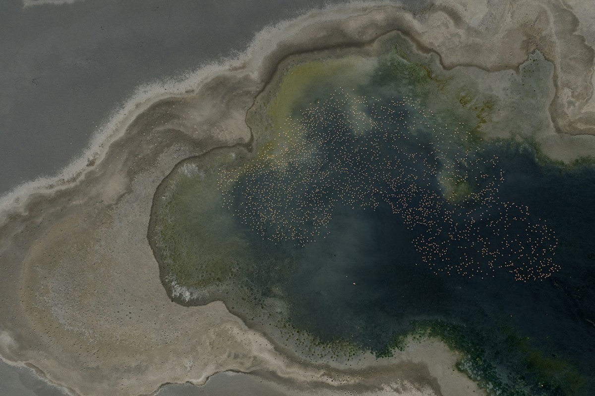 Düden Gölü’nde flamingolar gün doğumuyla birlikte görsel şölen sunuyor