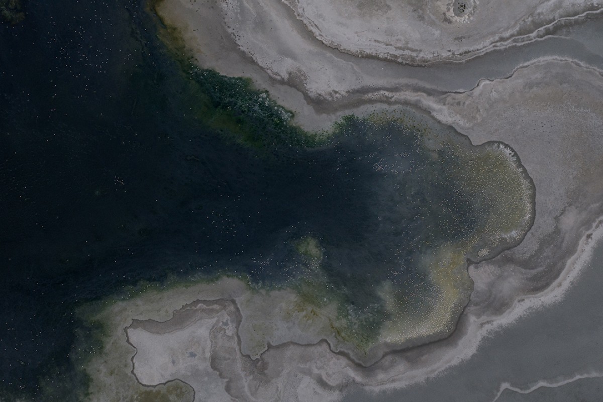 Düden Gölü’nde flamingolar gün doğumuyla birlikte görsel şölen sunuyor