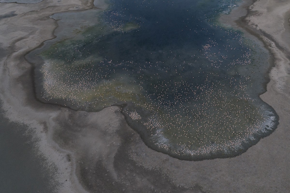 Düden Gölü’nde flamingolar gün doğumuyla birlikte görsel şölen sunuyor