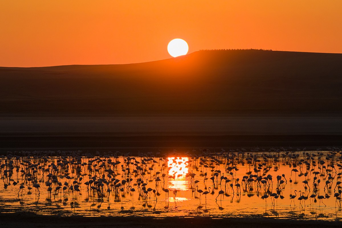 Düden Gölü’nde flamingolar gün doğumuyla birlikte görsel şölen sunuyor