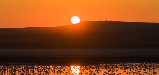 Düden Gölü’nde flamingolar gün doğumuyla birlikte görsel şölen sunuyor