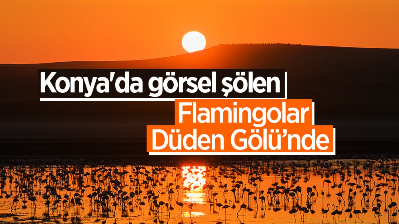 Konya’nın bu ilçesinde görsel şölen: Flamingolar Düden Gölü’nde