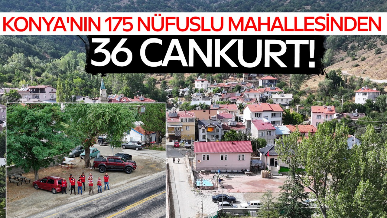 Konya’nın 175 nüfuslu mahallesinden 36 Cankurt!