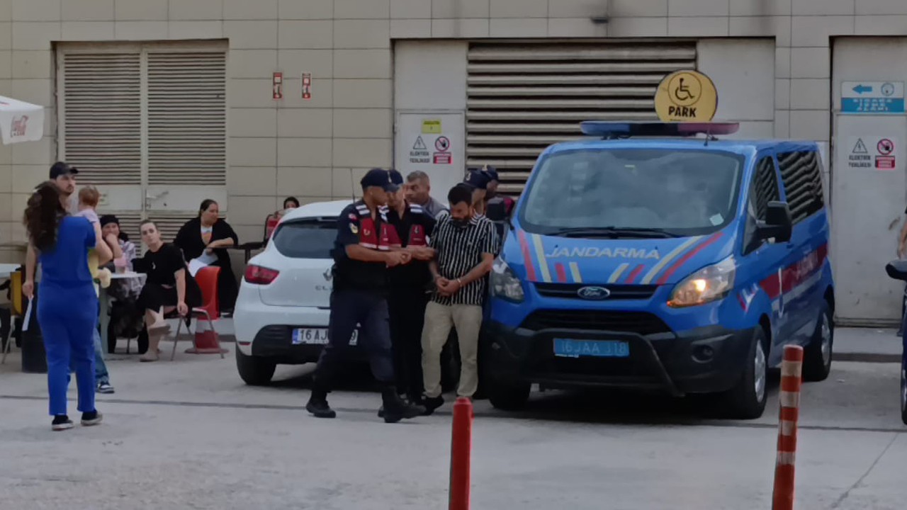 Evde kenevir yetiştiren 2 şüpheli tutuklandı